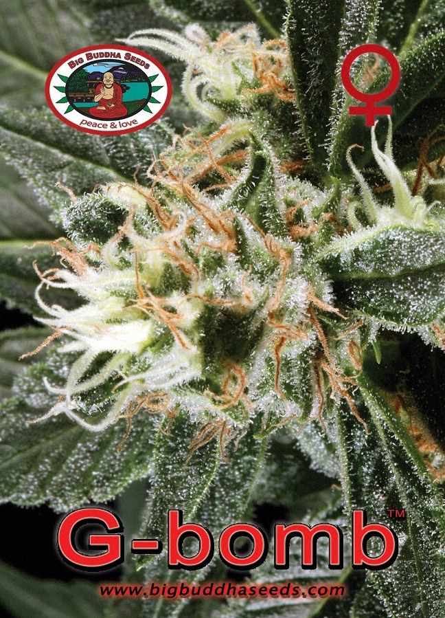 Big Buddha G Bomb ™