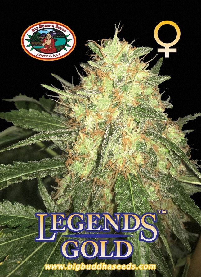 Big Buddha Legends Gold ™