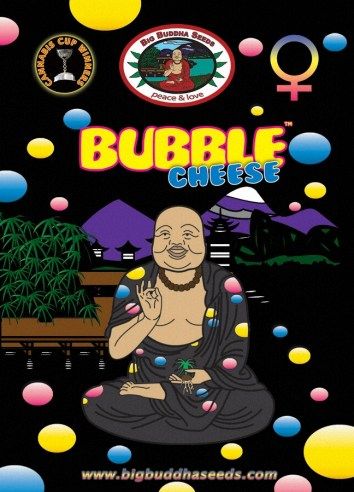 Big Buddha Bubble Cheese ™