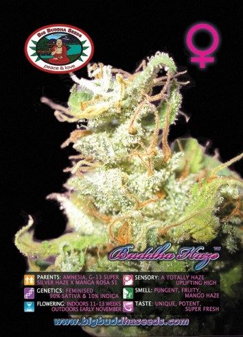 Big Buddha Haze ™