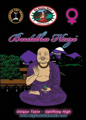 Big Buddha Haze ™