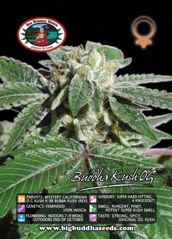 Big Buddha Kush OG ™