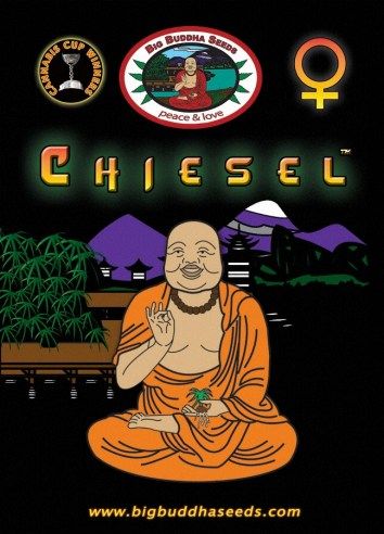 Big Buddha CHIESEL ™