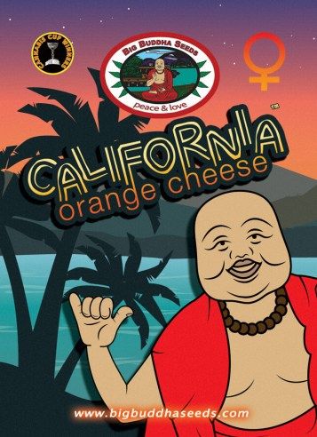 Big Buddha California Orange Cheese™