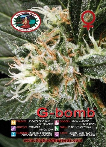 Big Buddha G Bomb ™