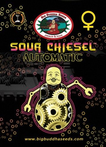 Big Buddha Sour CHIESEL AUTOMATIC ™